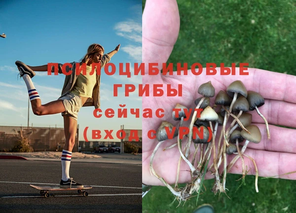 молекула духа Володарск