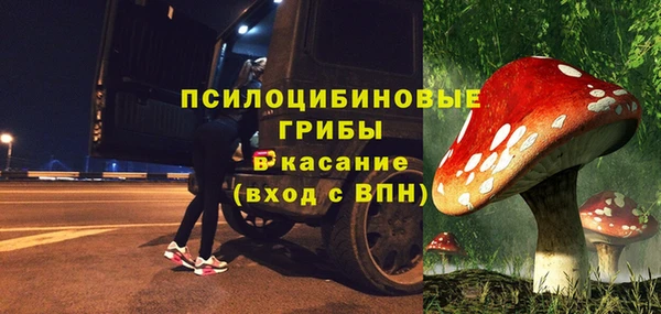молекула духа Володарск