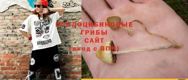молекула духа Володарск