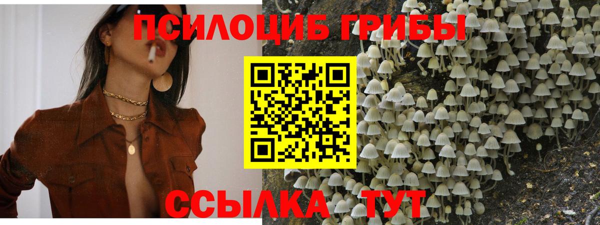 как найти   Псилоцибиновые грибы мицелий  Вход с VPN  Ноябрьск  Псилоцибиновые грибы прущие грибы 